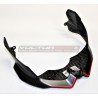 Parabrisas delantero completo de carbono versión exclusiva - Ducati Streetfighter V4 / V2