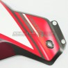 Set vestizione in carbonio personalizzato - Ducati DesertX
