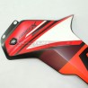 Custom Carbon Dressing Set - Ducati DesertX