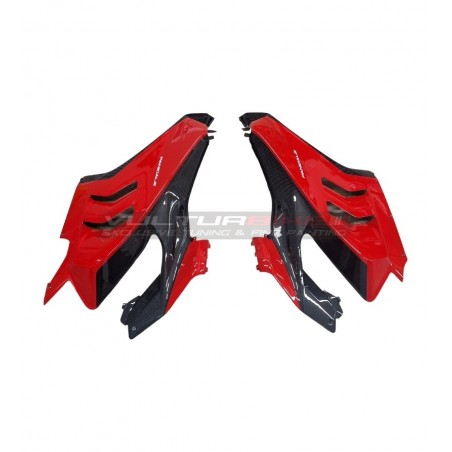 Custom Carbon Verkleidungskit - Ducati Panigale V4 2022 / 2024