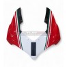 Custom carbon windshield - Ducati Panigale V4 2022 / 2024