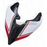 Custom Carbon Heck - Ducati Panigale V4 / V2 / Streetfighter V4 / V2