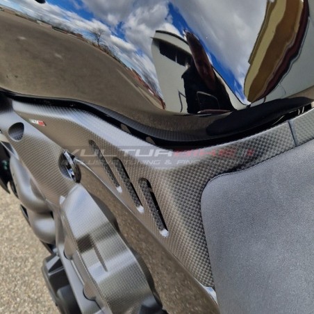 Carbon Tank Seitenteile - Ducati Diavel V4