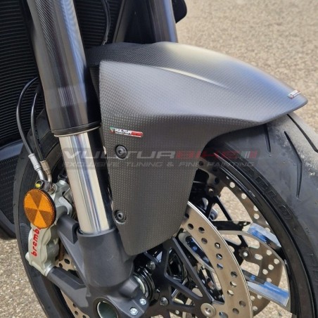 Carbon Kotflügel vorne - Ducati Diavel V4 ab 2022