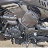Couvercle de pignon en carbone - Ducati Diavel V4