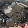 Cover motore destra e sinistra in carbonio - Ducati Diavel V4 
