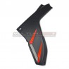 Carbon fiber under-tank side panels - Ducati Multistrada V4 RS