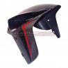 Guardabarros delantero de carbono de diseño personalizado - Ducati Diavel V4