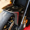 Guardabarros delantero de carbono de diseño personalizado - Ducati Diavel V4