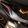 Guardabarros trasero de carbono de diseño personalizado - Ducati Diavel V4