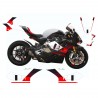 Complete set of custom decals - Ducati Panigale V4