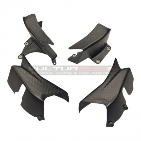 Couvercle et aileron carbone - Ducati Multistrada V4 / RS / Rallye / Pikes Peak 