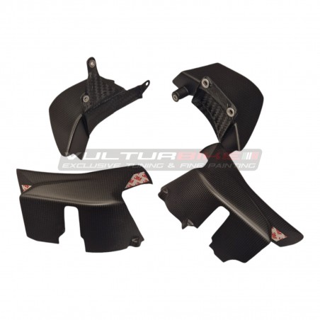 Carbon cover and fin set - Ducati Multistrada V4 / RS / Rally / Pikes Peak 