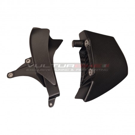 Carbon cover and fin set - Ducati Multistrada V4 / RS / Rally / Pikes Peak 