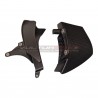Carbon cover and fin set - Ducati Multistrada V4 / RS / Rally / Pikes Peak 