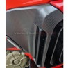 Cover per fiancate e supporto ali - Ducati Multistrada V4 RS 