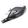 Schwingenabdeckung aus Kohlefaser - Ducati Diavel V4