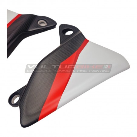 Exklusives Paket Windschutzscheibe - Deflektoren - Windschutzscheibe aus Kohlefaser - Ducati Multistrada V4 RS