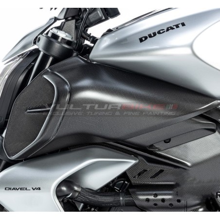Paar Carbon-Airbox-Förderer - Ducati Diavel V4
