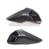 Paar Carbon-Airbox-Förderer - Ducati Diavel V4