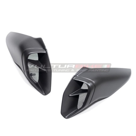 Paar Carbon-Airbox-Förderer - Ducati Diavel V4