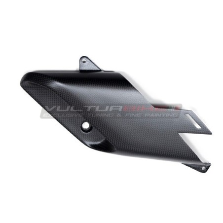 Paar Carbon-Airbox-Förderer - Ducati Diavel V4
