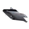 Pair of carbon airbox conveyors - Ducati Diavel V4