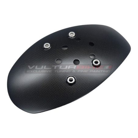 Guardabarros de carbono para Ducati Diavel V4