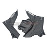 Carbon tank side panels - Ducati Multistrada V4 Rally
