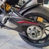 Coperchio in carbonio per forcellone - Ducati Multistrada V4 Pikes Peak / V4RS