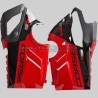 Mix Design Grafik V4R / V4SP Anniversario - Ducati Panigale V4