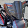 Complete sticker kit with new design - Ducati Diavel V4