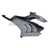 Set de carénages latéraux en fibre de carbone pour PANIGALE V4 DUCATI