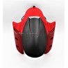 Guardabarros delantero de carbono - Multistrada V4 / V4S / Rally