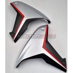 Pannelli in carbonio effetto alluminio spazzolato - Ducati Multistrada V4 / V4S 