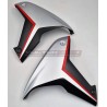 Paneles de carbono efecto aluminio cepillado - Ducati Multistrada V4 / V4S