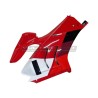 Set completo de carenado Ducati Panigale V4 / V4S 2022 / 2024