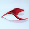 Codone personalizzato - Ducati Panigale V2 V4 - Streetfighter V2 V4 