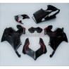 Carbon Verkleidungsset mit neuem SP Design - Ducati Panigale V4 / V4R / V4S