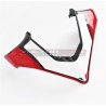 Custom design carbon windshield - Ducati Multistrada V4