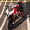 Carene personalizzate in versione tricolore italiano - Ducati Panigale V4 2022 / 2024 
