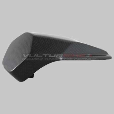 Ducati Panigale V4 Heckpuffer Mittelabdeckung - Carbon