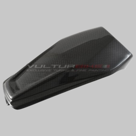 Ducati Panigale V4 Heckpuffer Mittelabdeckung - Carbon