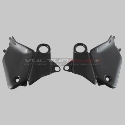 Tapas de depósito y subchasis derecho e izquierdo Ducati Panigale V4 - carbono