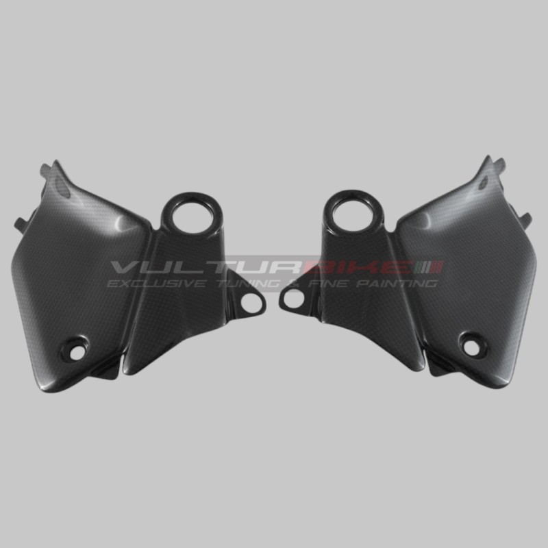 Tankabdeckungen und Hilfsrahmen rechts und links Ducati Panigale V4 - Carbon