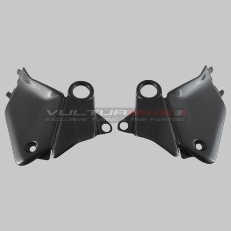 Tankabdeckungen und Hilfsrahmen rechts und links Ducati Panigale V4 - Carbon