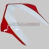Cupolino Strada / Racing Ducati Panigale V4