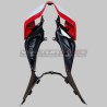 Conjunto carenado completo Carretera / Racing Ducati Panigale V4 / S
