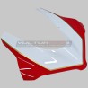 Conjunto carenado completo Carretera / Racing Ducati Panigale V4 / S