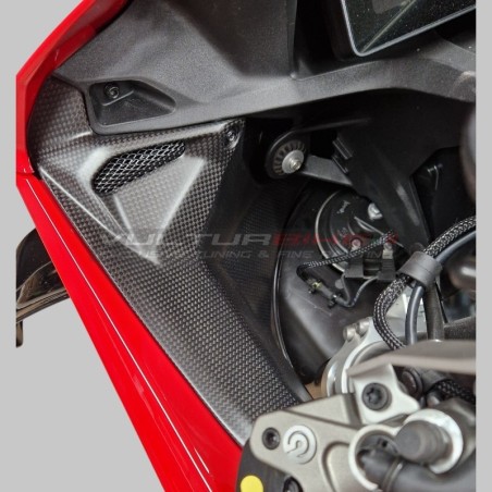 Windscreen Dashboards for Ducati Panigale V4 - Carbon